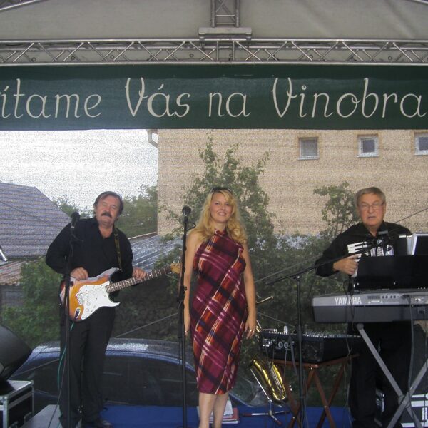 Vinobranie Tesáre (17.9.2011)