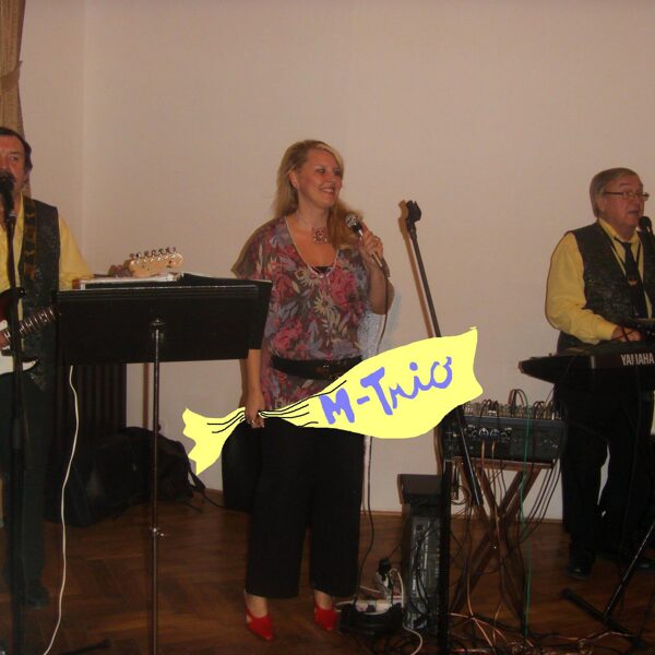 Svadba v Bánovciach nad Bebravou (7.1.2012)